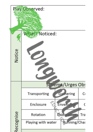 Play Based Learning Observation Sheet NZC - PDF Download