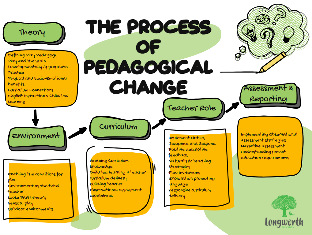 The Process of Pedagogical Change